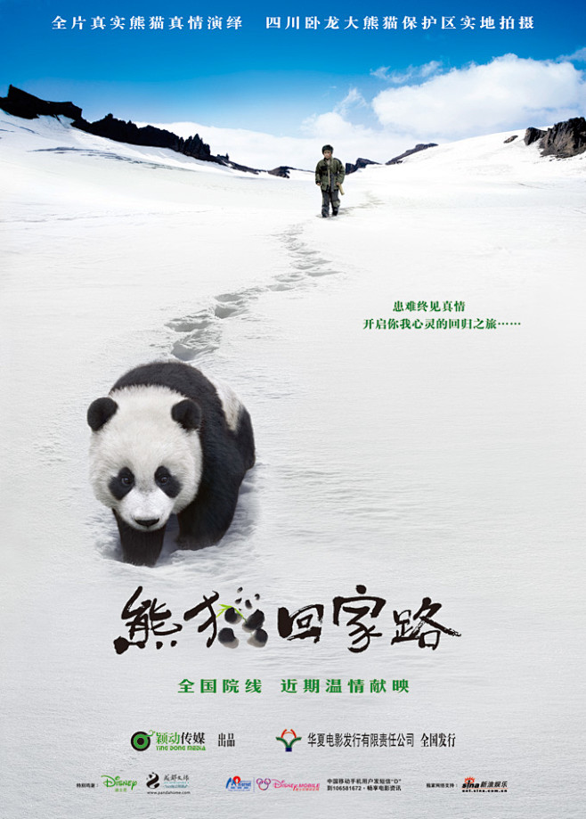 熊猫回家路电影海报设计