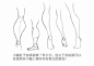 【新手教程】第16期：小腿篇，关于小腿常见的一些错误画法
