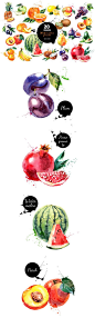 The Versatile Vector Collection: 
