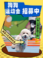 宠物运动 - 小红书搜索
