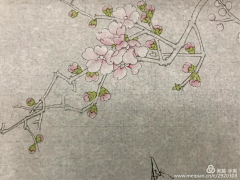 8DgjJELe采集到图样