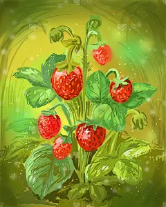 野生草莓插图