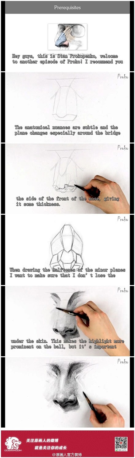 proko 绘制鼻子的过程视频，|How...