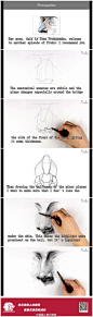 proko 绘制鼻子的过程视频，|How to Draw a Nose - Step by Step 建议在看之前先储备一下鼻子的解剖学知识 和结构：→http://t.cn/8khEmT9