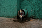 墨西哥街道上的微型水泥骷髅 | 西班牙艺术家 Isaac Cordal