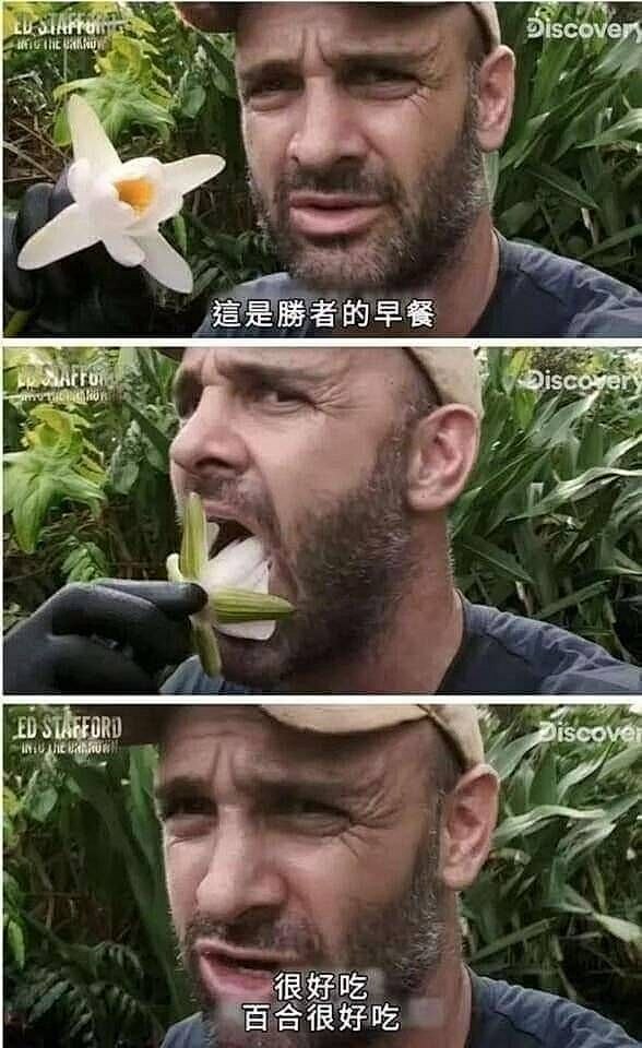 这是百合漫画下的专用评论表情包