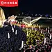 太阳能led麦穗灯芦苇灯 发光地插婚礼草坪装饰庭院家用公园景观灯-淘宝网