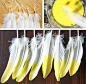 *dip dye diy dream catcher feathers (ribbons make good partners for these beauties!)