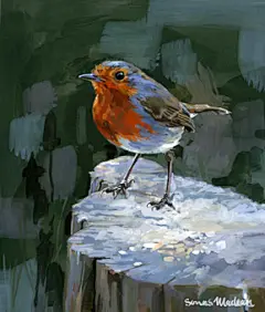 鸟绘画系列图集丨鸟手绘水彩油画插画艺术作品精选