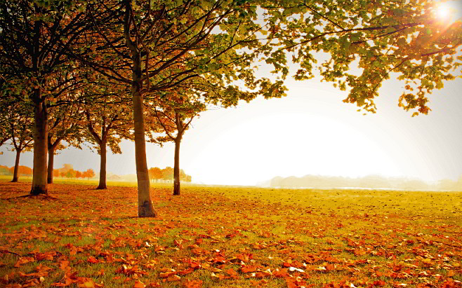 Sunny-Autumn-Landsca...