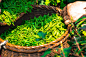 550042_banner