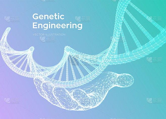 DNA序列在手。线框DNA分子结构网。DNA代码可编辑模板。科学技术概念。矢量插图。