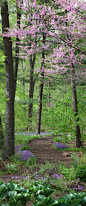 Bell's Woodland at Chanticleer Garden in Wayne, Pennsylvania • photo: Chanticleer