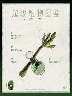 黄色西瓜车厘子采集到work idea