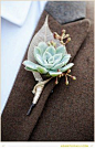 Succulent boutonniere