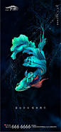 处暑节气移动端微信海报
