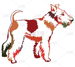 福克斯猎狐犬,狗,绘画插图,多色的,矢量,注视镜头,华丽的,纯种犬,背景分离,站