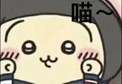 537表情包第6⃣️弹！_5_gaozicrycry_来自小红书网页版