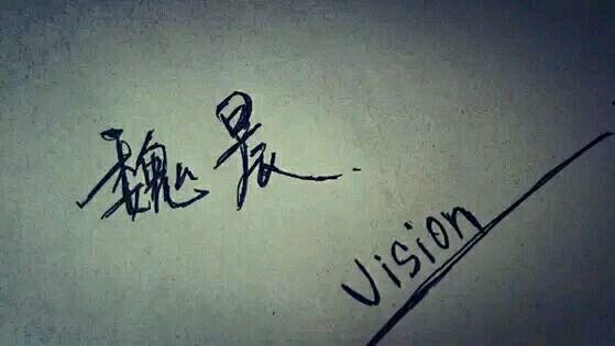 【 love you ,vision