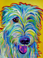 Irish Wolfhound - Angus Painting  - Irish Wolfhound - Angus Fine Art Print