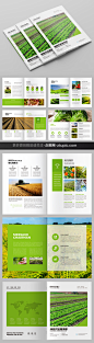 农作物宣传册设计模板