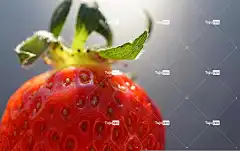 草莓 笔记本电脑壁纸 食物 美丽的壁纸 桌面背景 4K壁纸 水果