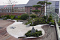 japanischer Garten auf Dachterrasse, traumhaftes Wohnen im Penthouse mit Japangarten: 