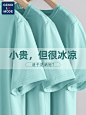 森马集团geniolamode冰丝短袖t恤男士薄款宽松上衣夏季运动速干衣-淘宝网