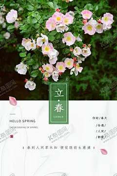 立春 【酷图网】立春,柳树,燕子,新中式立春,挂画,发芽立春,浅色立春,质感立春,白色立春海报,嫩绿立春,春分微信海报,燕子立春,柳树立春,立春海报,万物萌新,立春节气,立春微信,立春活动