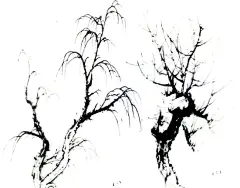 国画 柳树的搜索结果_360图片