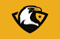 Eagles Logo Mark on Behance: 