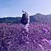 `﹎Stacy╭ァ