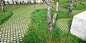 EMF landscape architecture cemetery 03 « Landscape Architecture Works | Landezine Landscape Architecture Works | Landezine