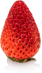 20200522-150932-62f1.png (294×511)
