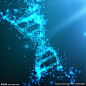 基因链DNA