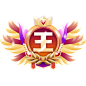 贵族勋章_国王