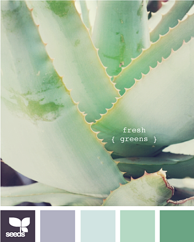 fresh greens #采集大赛# ...