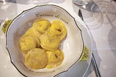 锅贴纸浆