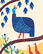 Alexander Vidal on Behance