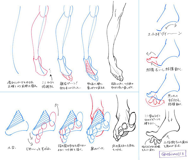 えびも　足の描き方