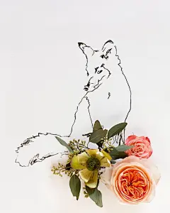 Kari Herer:花卉与插画的创意结合 