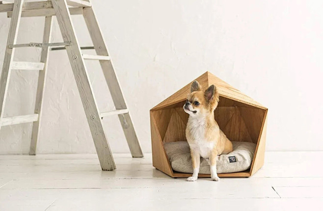 你能挑选出你最喜欢的狗狗床设计吗?