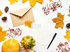 南瓜,叶子,秋天,浆果,信函,白色背景,视角,平铺,顶部,构图