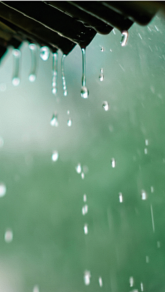 小小胡258采集到雨水