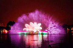 紫盆花采集到音乐喷泉激光秀