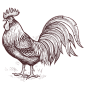 手绘素描农场动物蔬菜鸡羊牛线稿PNG透明图案 AI矢量 (131)