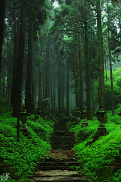 SAi_A采集到【场景】_神社