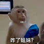 猴子表情包②