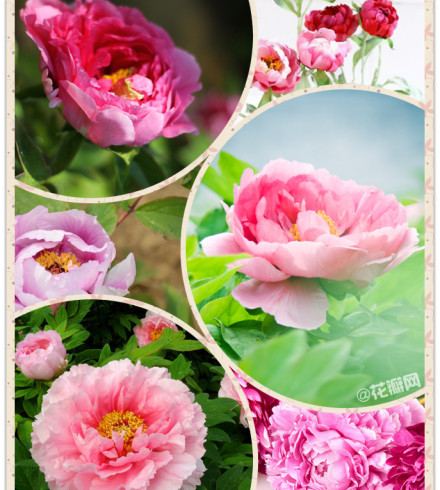 catherine_lynn的花瓣个人主页-花瓣网