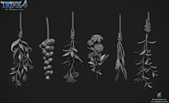 不会皮的皮皮鼠采集到植物等